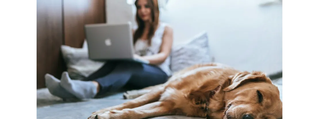 Cosmo Lingoda Language Centre 