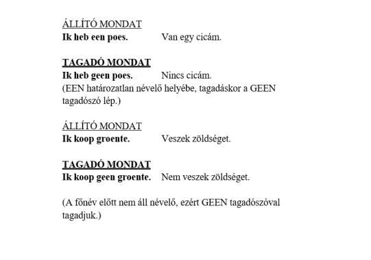 Cosmo Lingoda Language Centre 