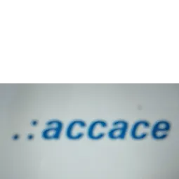 Cosmo Lingoda Language Centre 