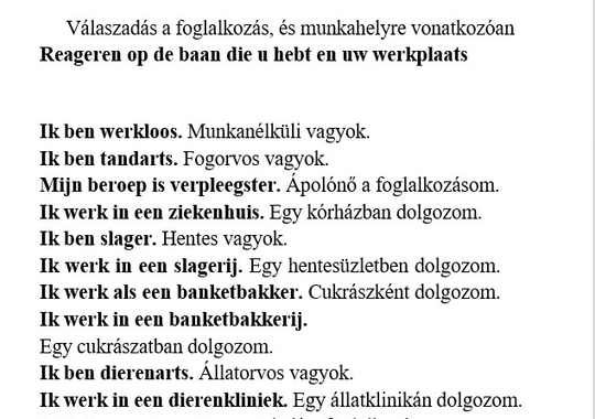 Cosmo Lingoda Language Centre 