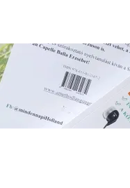 Cosmo Lingoda Language Centre 